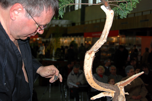 bonsai2010-gajda-05.jpg