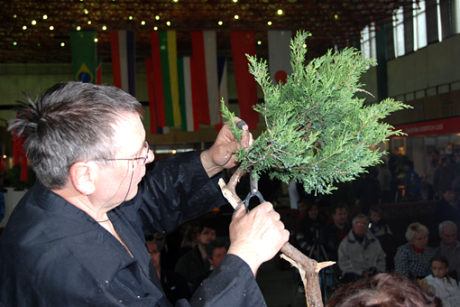 bonsai2010-gajda-06.jpg