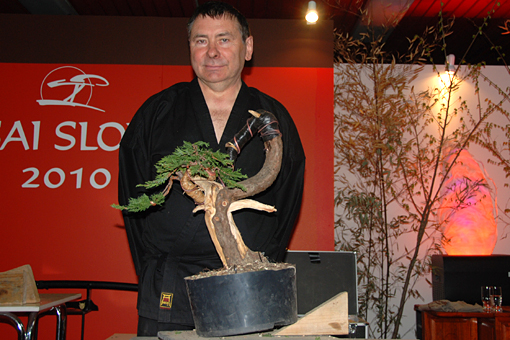 bonsai2010-gajda-09.jpg