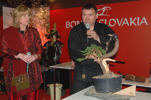 bonsai2010-gajda-10.jpg