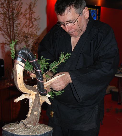 bonsai2010-gajda-13.jpg