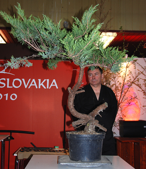 bonsai2010-gajda-15.jpg