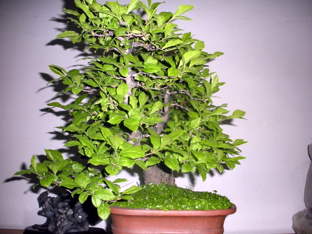 ѻ 081.jpg