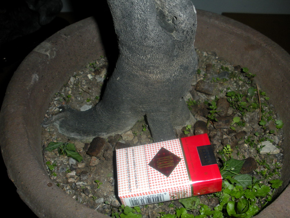 ѻ 083.jpg