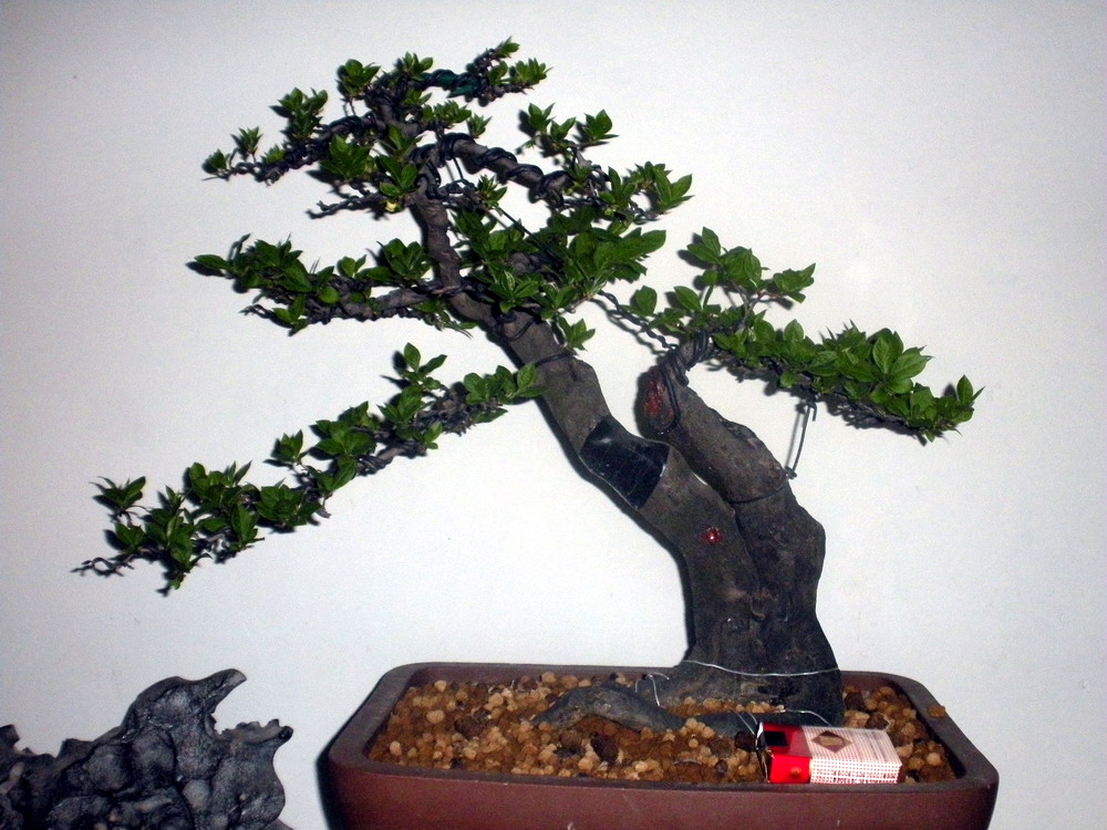 ѻ 088.jpg