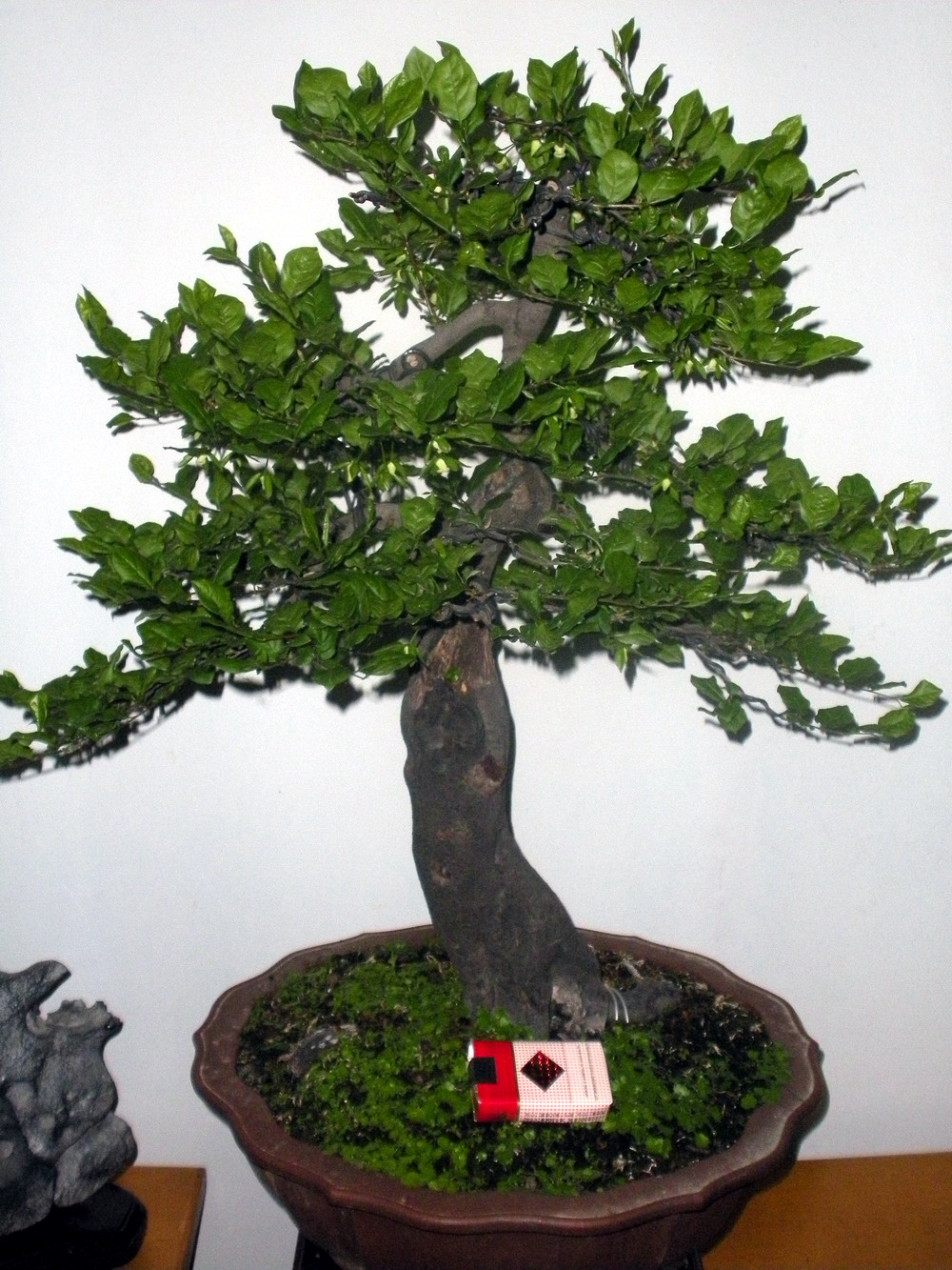 ѻ 092.jpg