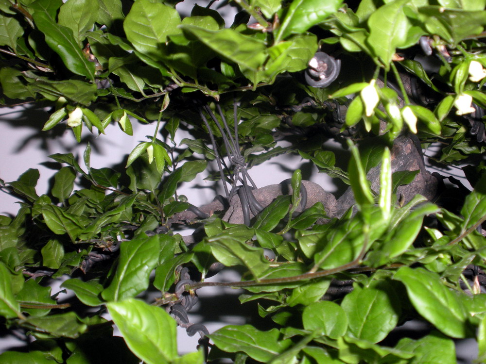 ѻ 093.jpg