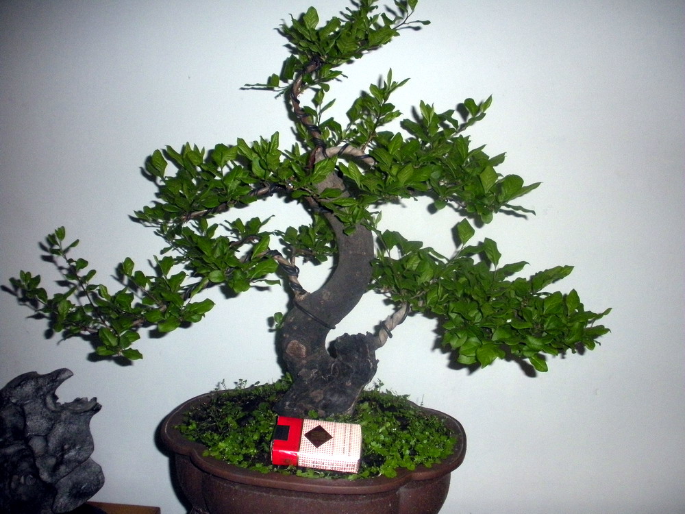 ѻ 099.jpg