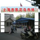 34260a4c7985bbb5_0.jpg