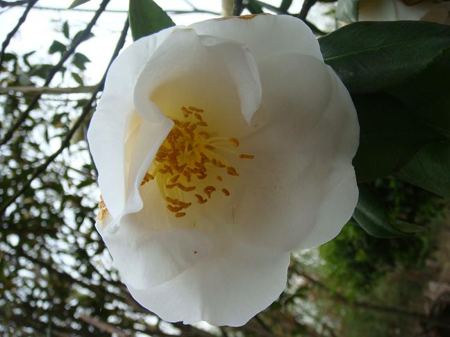 DSC01458.JPG