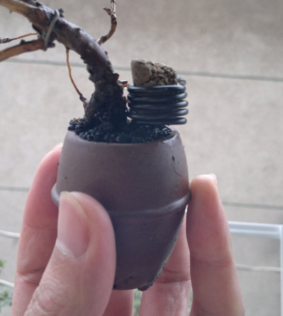 20120330672.jpg