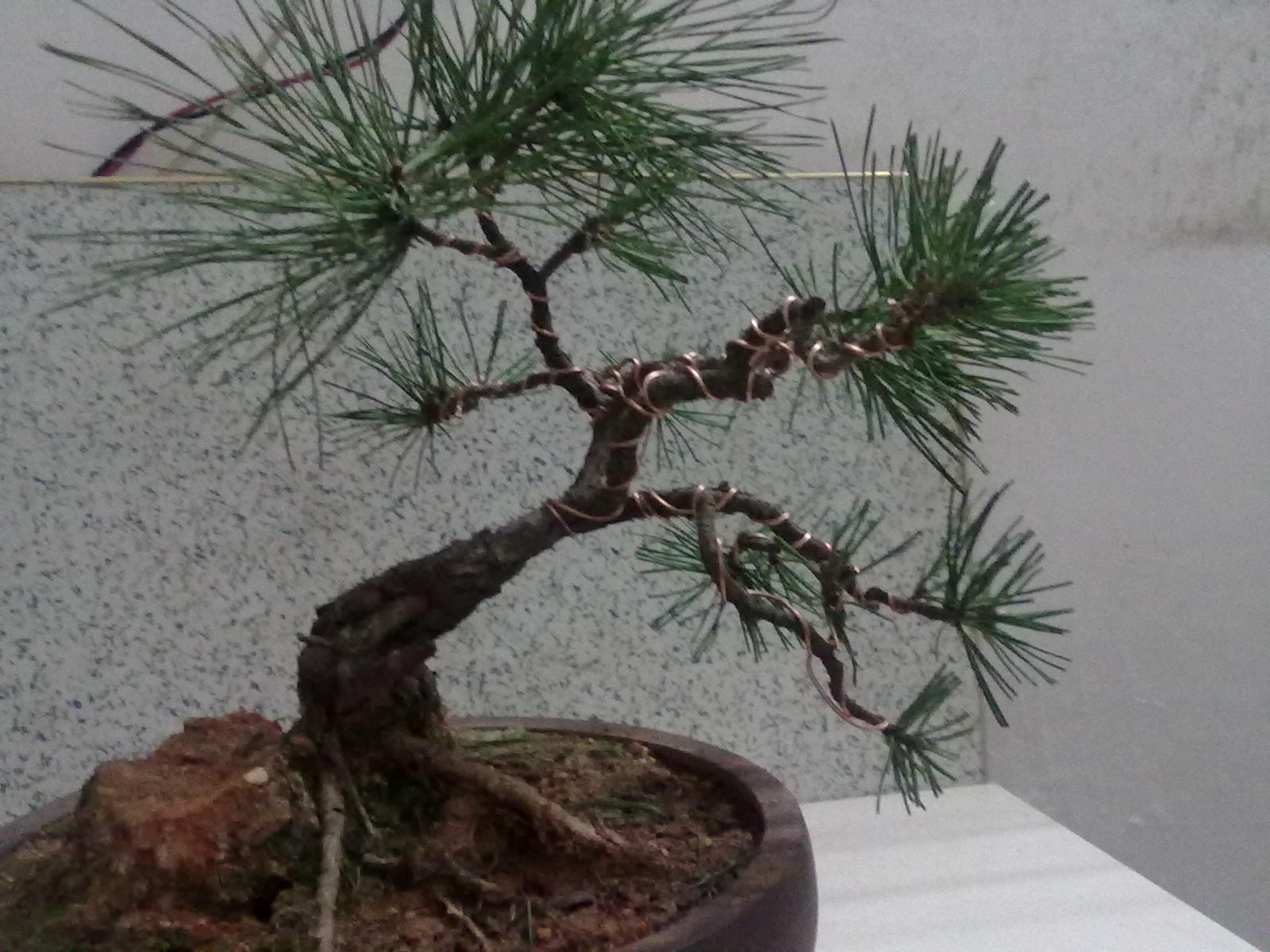 20120414549.jpg