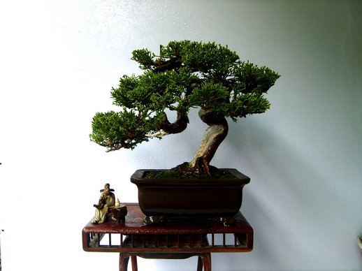 S5003100.JPG