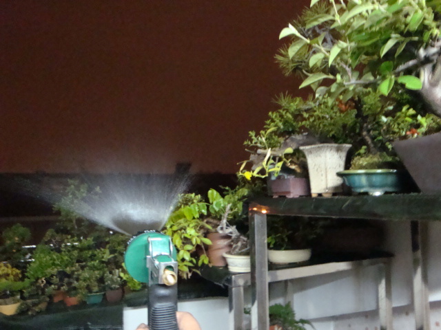 DSC08595.JPG