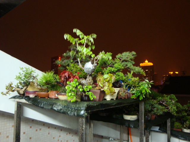 DSC08597.JPG