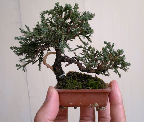 20120411749.jpg