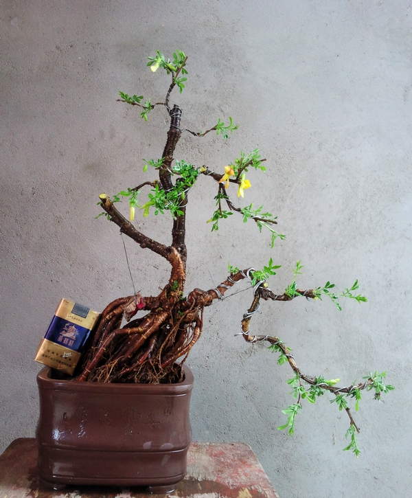 Ƭ0129.jpg