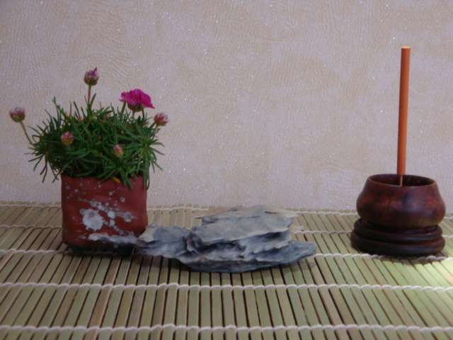 DSC08611.JPG