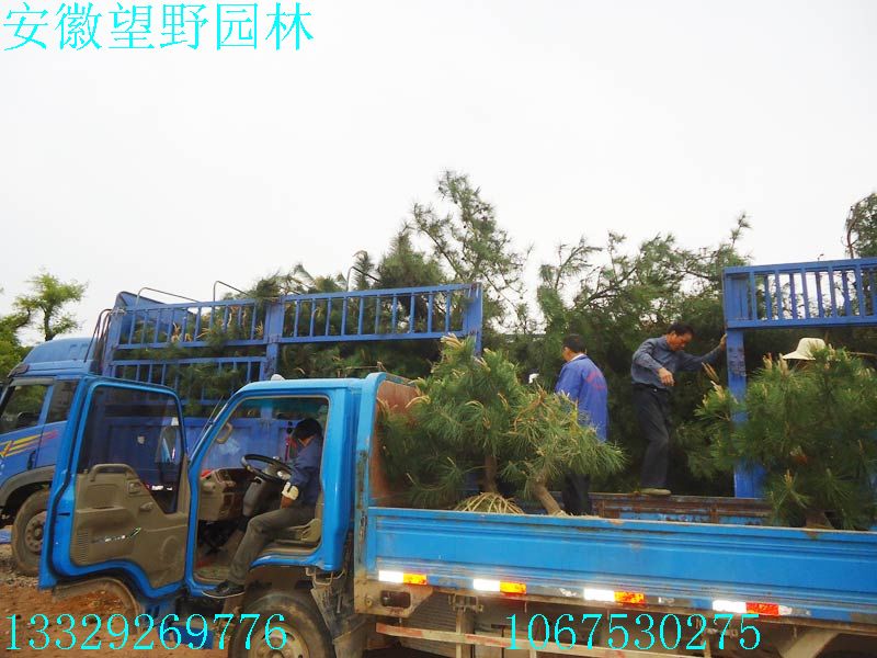 DSC03288.jpg