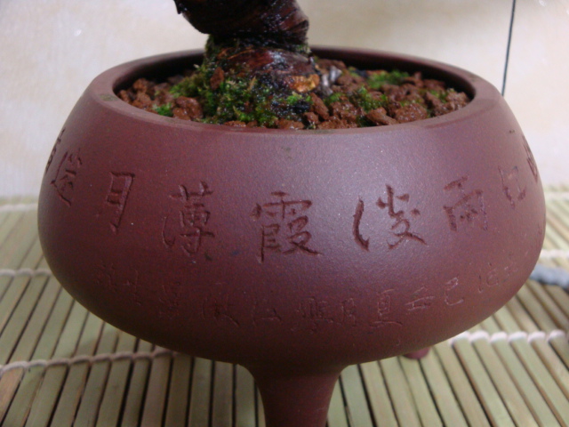 DSC08632.JPG