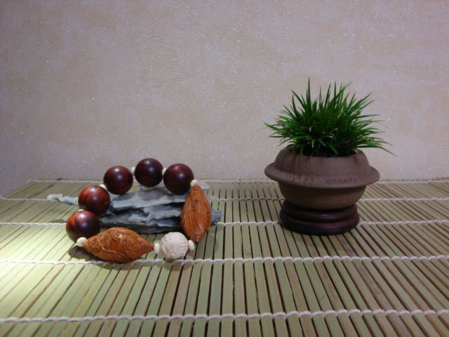 DSC08639.JPG