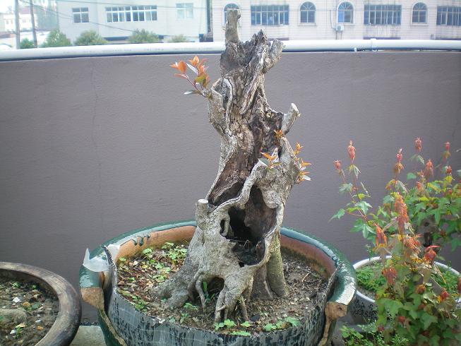 100_0112.JPG
