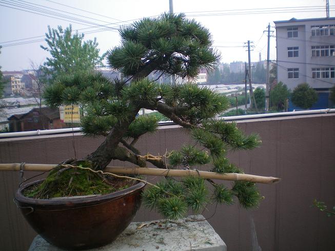 100_0109.JPG