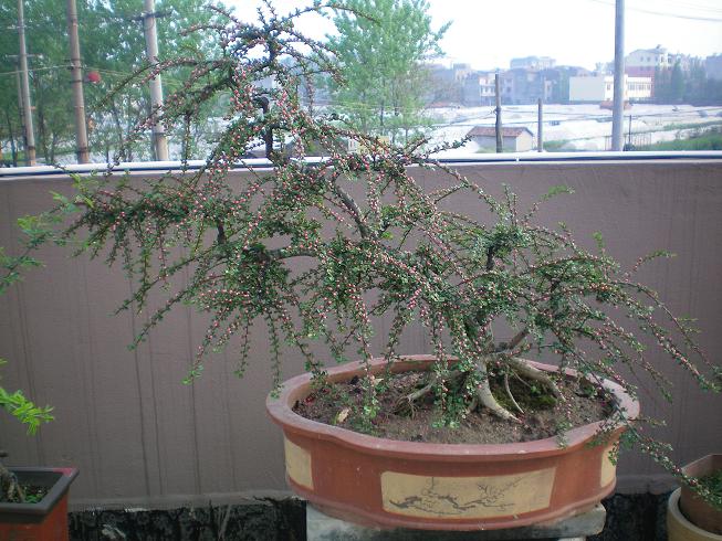 100_0108.JPG