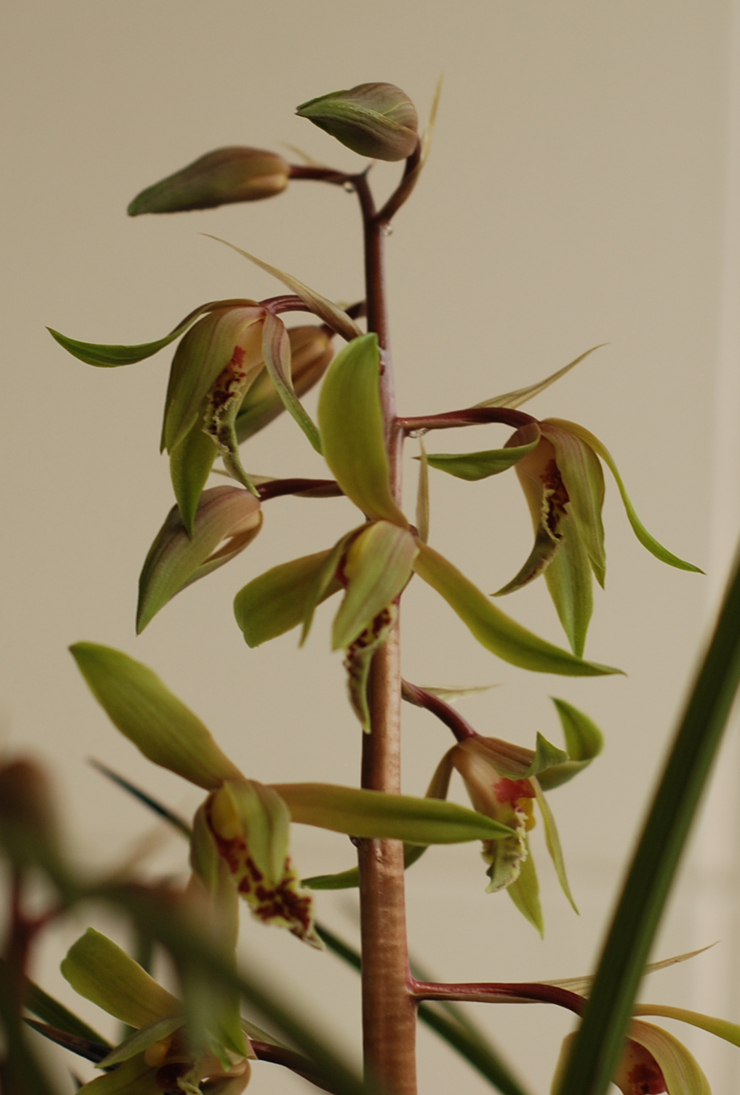 DSC_6477.jpg