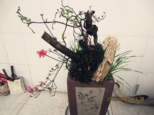 Ƭ 066__.jpg