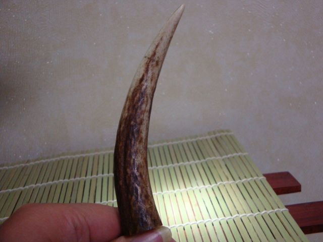 DSC08660.JPG