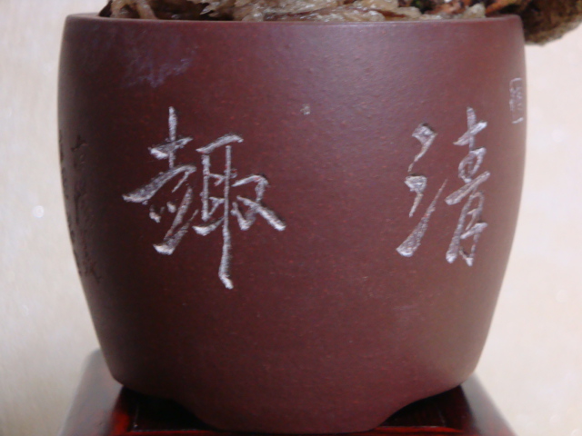 DSC08661.JPG