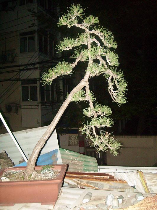 DSCN2326.JPG