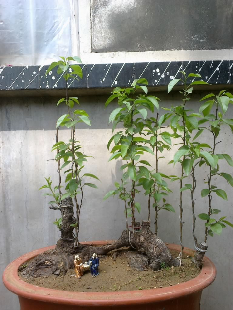 201204191207.jpg