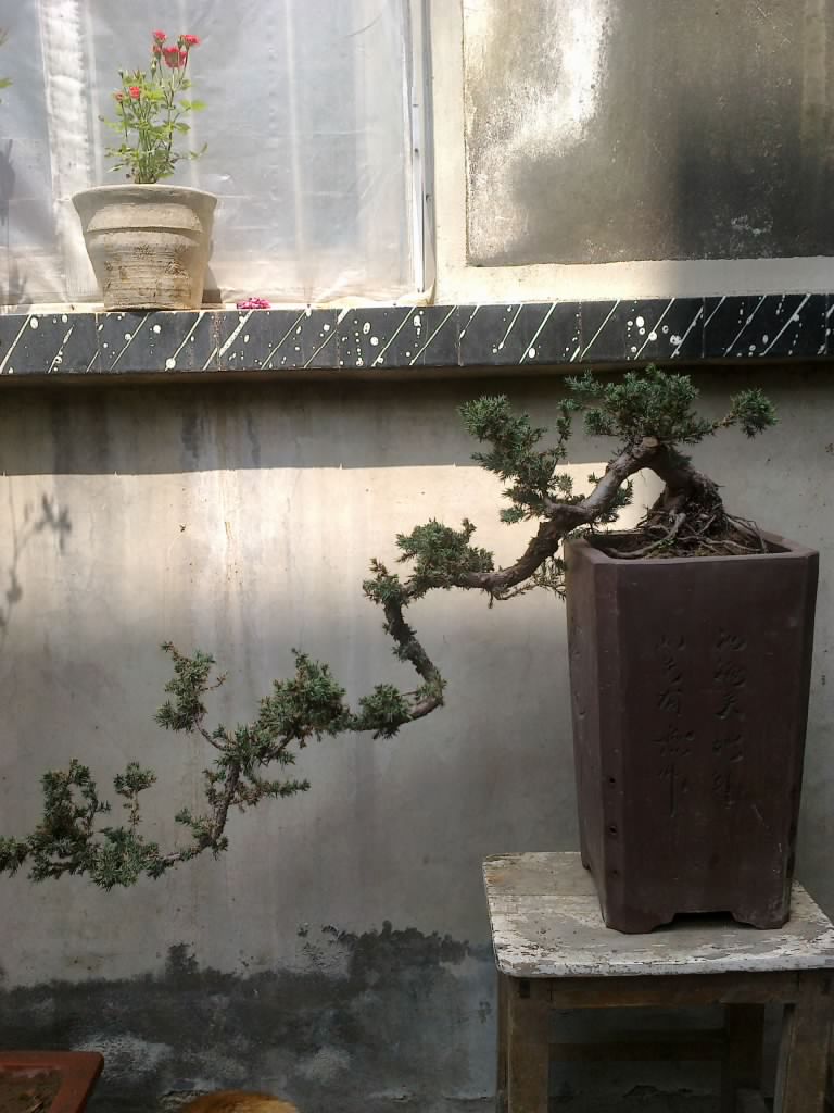 201204191203.jpg