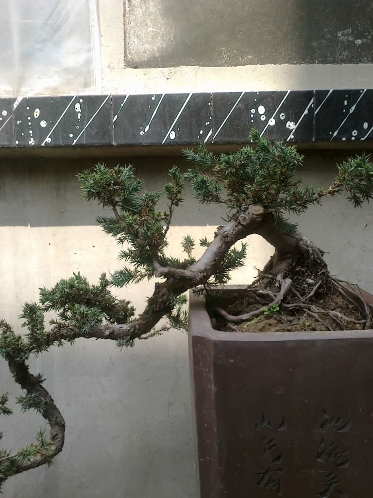 201204191204.jpg