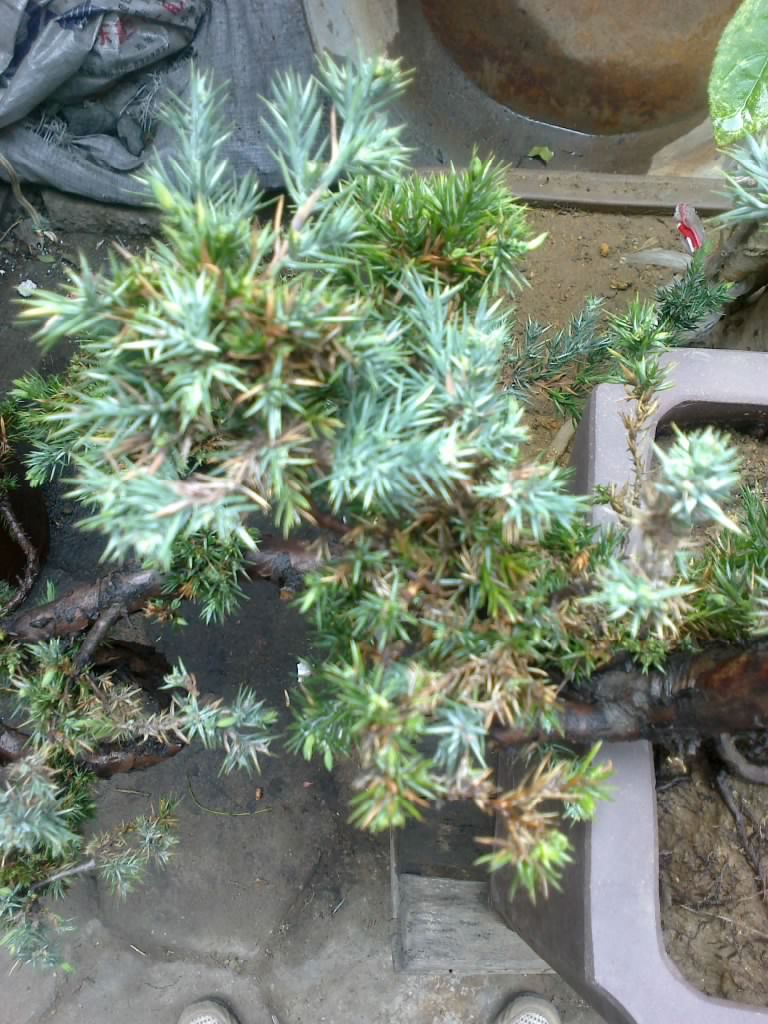 201204191194.jpg