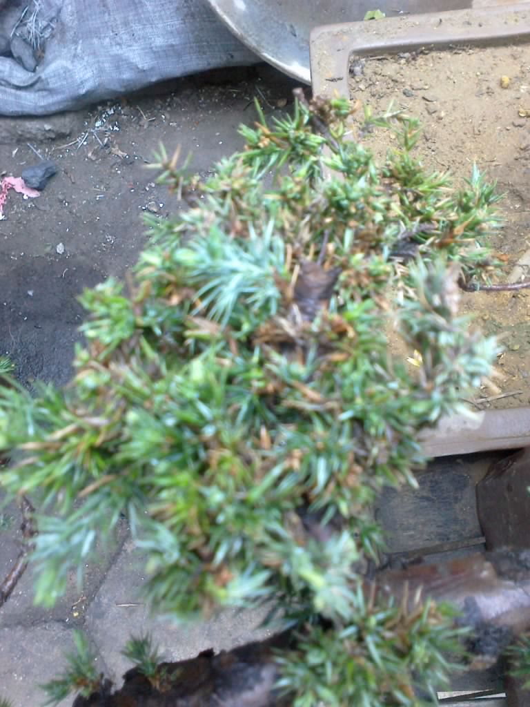201204191195.jpg