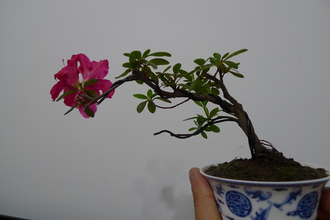 P1020591.JPG