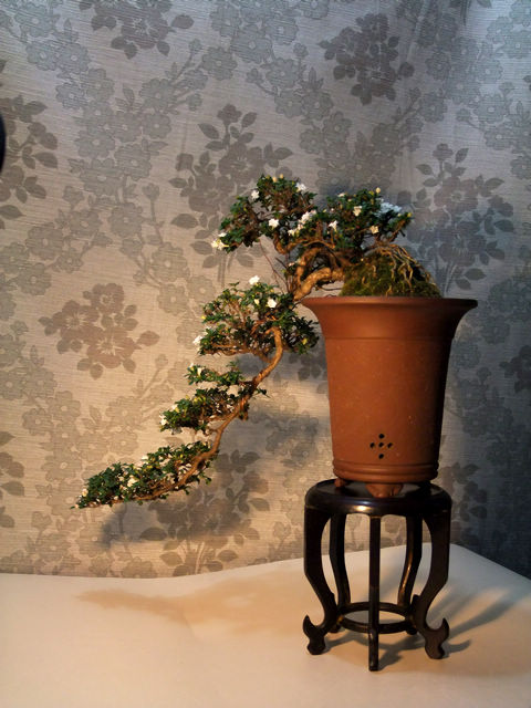 DSCF7835.jpg