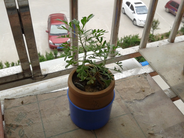 2012-04-20 15.45.22.jpg