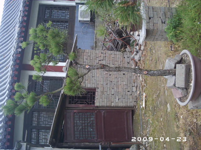 PHOT0046.JPG