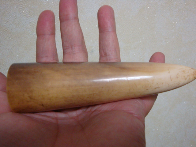 DSC08675.JPG