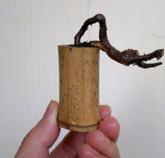 20120421840.jpg
