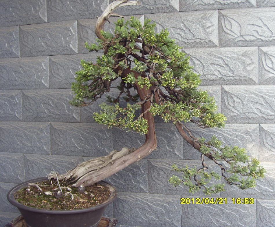 Ƭ 008.jpg