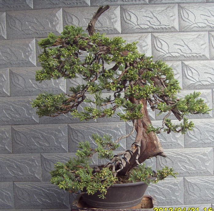 Ƭ 009.jpg