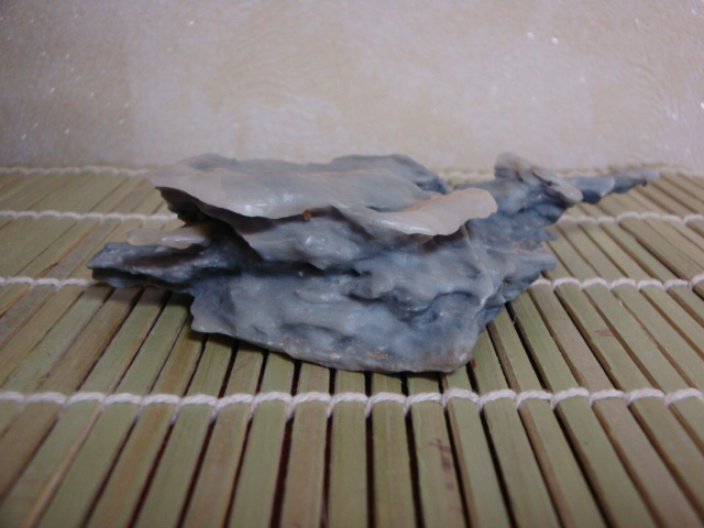 DSC08687.JPG