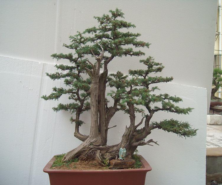 DSCN9591.JPG