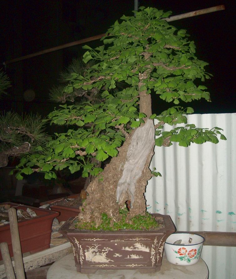 DSCN2320.JPG