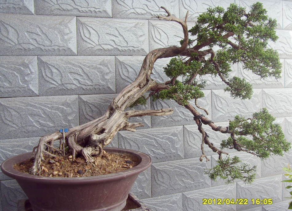 Ƭ 018.jpg